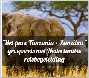 avtours - Rondreizen Tanzania
